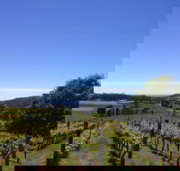 Barringwood Vineyard and Cellar Door Restaurant - Accommodation Main Beach