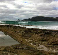 Bruny Island Berry Farm - Accommodation Main Beach