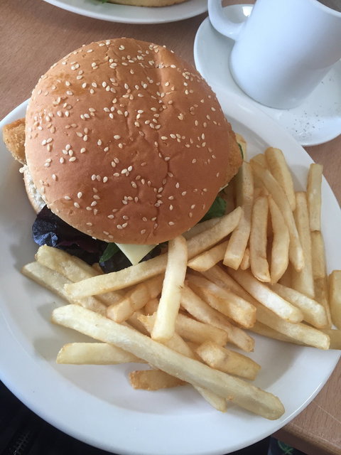 Eucalypt Cafe - Accommodation Main Beach 1