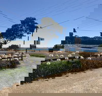 Penguin  Pardalote Coffee House - Accommodation Main Beach