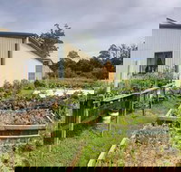 Springfield Tea Room - Accommodation Main Beach