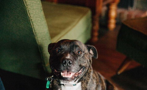 Waroona Hotel - Accommodation Main Beach 10