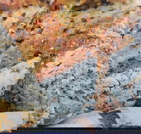 Lawley's Bakery Cafe - Accommodation Main Beach