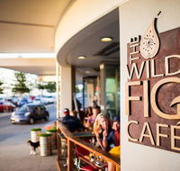 The Wild Fig - Accommodation Main Beach