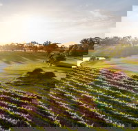 Sandalford Restaurant - Accommodation Main Beach