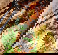 Paste Thai - Accommodation Main Beach