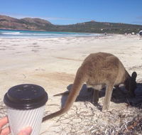 Lucky Bean - Accommodation Main Beach