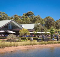 Cheeky Monkey Brewery and Cidery - Accommodation Main Beach