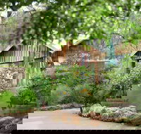 Goanna Cafe and Gallery - Accommodation Main Beach