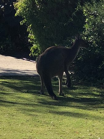 Preston Beach WA Accommodation Main Beach