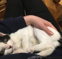 MeowMe Cafe - Accommodation Main Beach