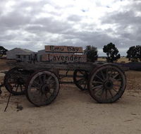 Emu Bay Lavender - Accommodation Main Beach