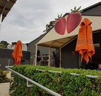 Green Valley Strawberries - Accommodation Main Beach