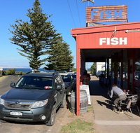 Fish - Accommodation Main Beach