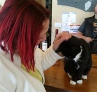 Stone Bridge Wines - Accommodation Main Beach