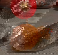 Charm Thai - Upper Coomera - Accommodation Main Beach