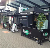 Bogarts Fine Coffee - Accommodation Main Beach