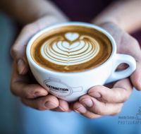 Extraction Artisan coffee - Accommodation Main Beach