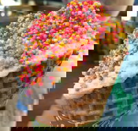 Brew  Scoop - Accommodation Main Beach