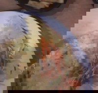 Mount Isa Irish Club - Accommodation Main Beach