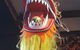 Junk Toowoomba - thumb 3