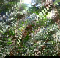 Spirits of Daintree - Accommodation Main Beach