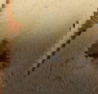 Sugarloaf Baking Co - Accommodation Main Beach