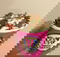 Baskin Robbins Toowoomba - Accommodation Main Beach