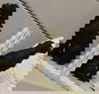 My Home - Accommodation Main Beach