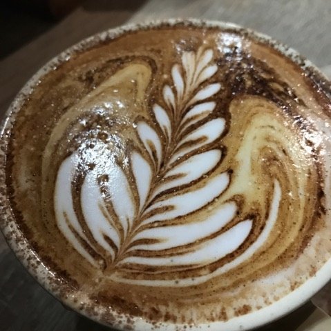 The Spring Bean - Accommodation Main Beach 4