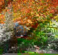 The Woods Ravensbourne - Accommodation Main Beach