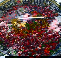 Red Chilli Sichuan Burwood - Accommodation Main Beach