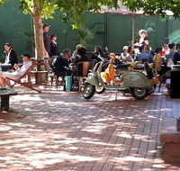 Alleycat Cafe - Accommodation Main Beach