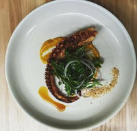 Stray Neighbour - Accommodation Main Beach