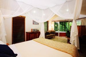 Daintree Eco Lodge & Spa - Accommodation Main Beach 1