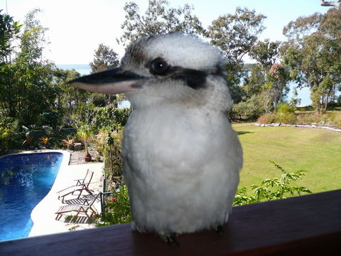 Yarrandabbi Dreaming Boutique B&B - Accommodation Main Beach 2