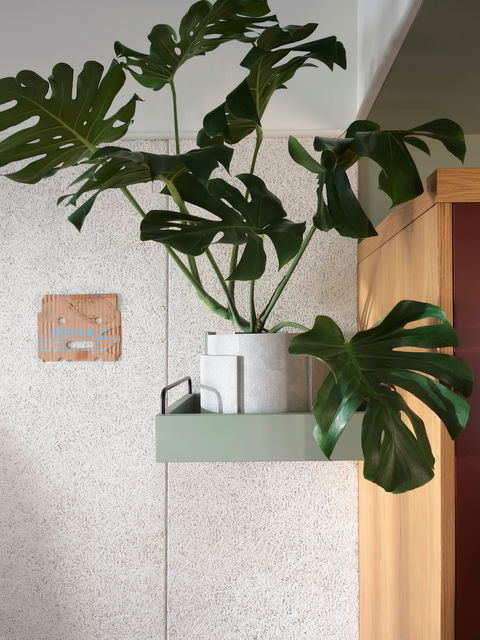 ACE Hotel Sydney - Accommodation Main Beach 0