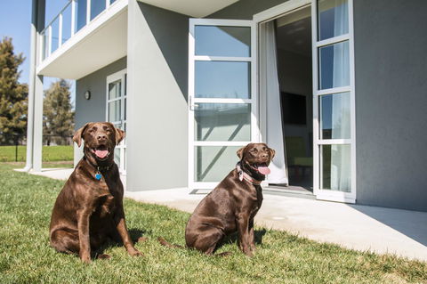 Abode Narrabundah - Accommodation Main Beach 20