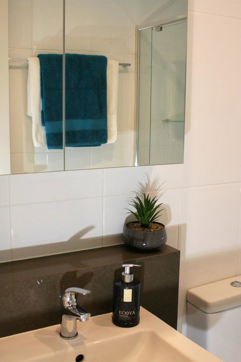 Modern Executive Apt@Barton*1BR*WiFi*Gym*Secure Parking*Canberra - Accommodation Main Beach 13