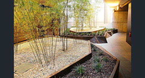 Stylish, Modern, Cute As A Button - Braddon CBD - Accommodation Main Beach 2