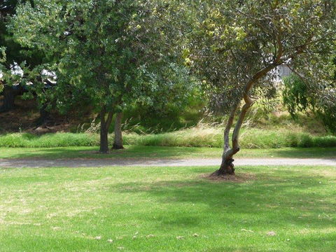 Victor Harbor Holiday Park - Accommodation Main Beach 24