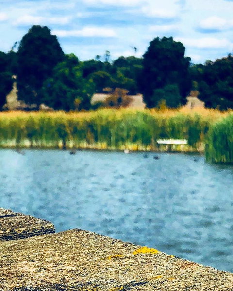 The Lake House Retreat - Accommodation Main Beach 21