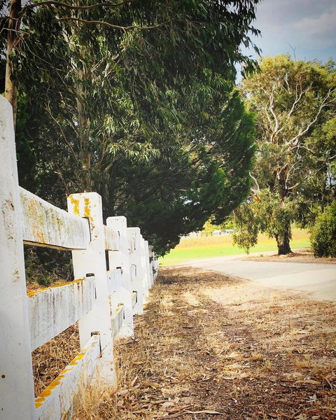 The Lake House Retreat - Accommodation Main Beach 28
