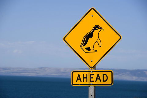 Kangaroo Island Seafront - Accommodation Main Beach 43