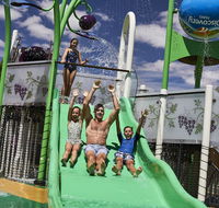 Discovery Parks  Barossa Valley - Accommodation Main Beach