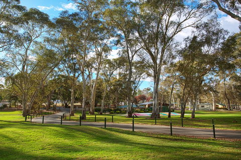 Discovery Parks - Clare - Accommodation Main Beach 19