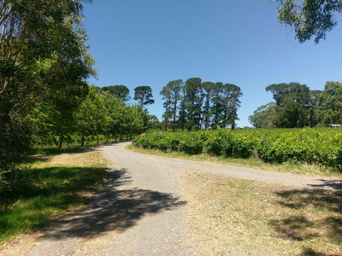 Lost In The Vines - Accommodation Main Beach 28