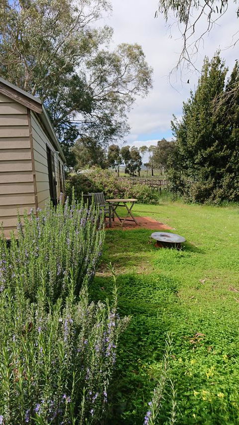 Lost In The Vines - Accommodation Main Beach 22