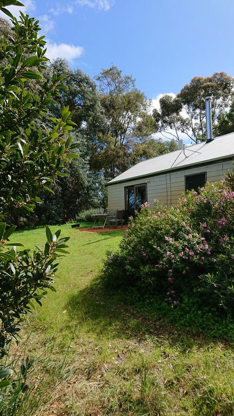Lost In The Vines - Accommodation Main Beach 26