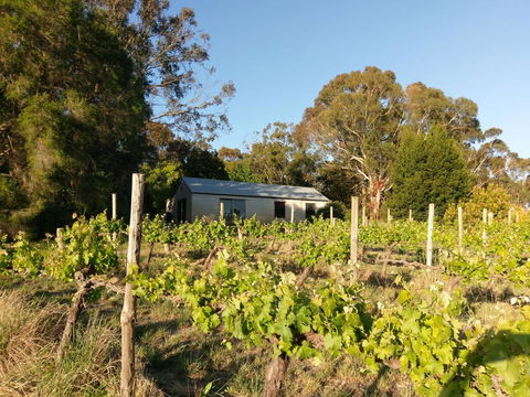 Lost In The Vines - Accommodation Main Beach 25